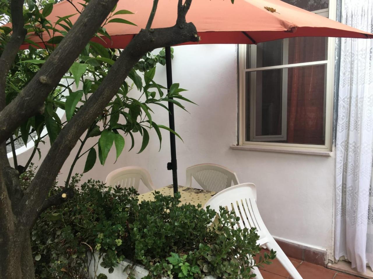 Tosk House 2 Apartment Пешичи Екстериор снимка